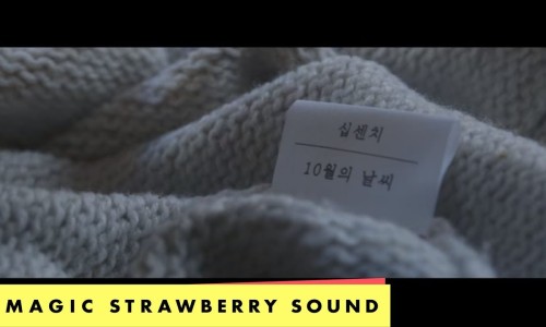 카포카피 이미지