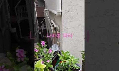 에이치트레블 이미지