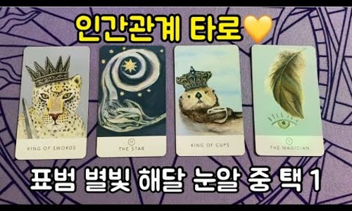 니니타 이미지