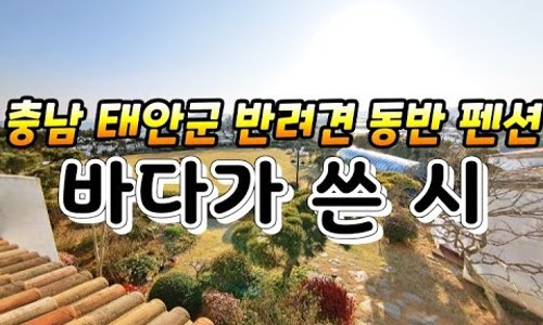 바다가쓴시 이미지