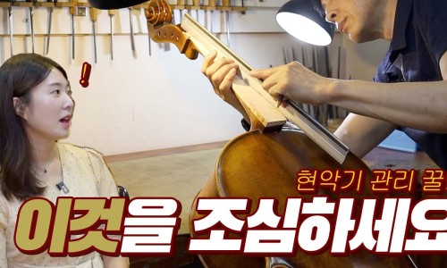 이태리현악사 이미지