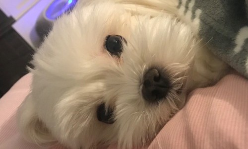슬로우다운 이미지