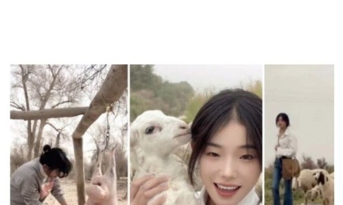 양치기 소녀 이미지