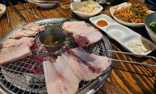 하이숙성 이미지