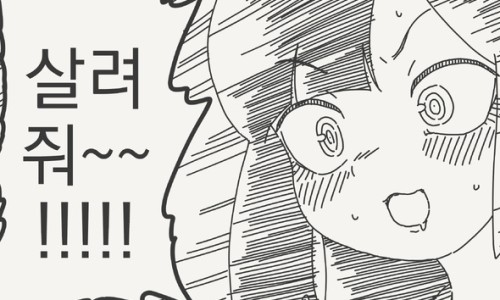 태양금 이미지