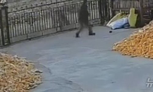 사자마을 이미지