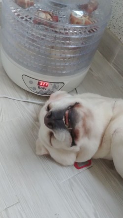 대한이앤이 이미지
