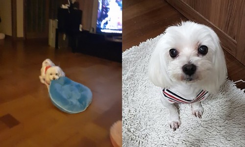 봉자빨래 이미지