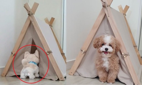 칠칠이불 이미지