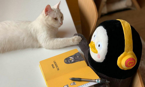 칠칠이불 이미지