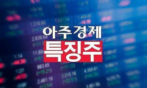 엔피케이(주) 이미지