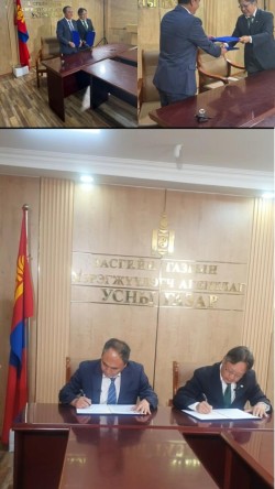 쎄니팡 이미지