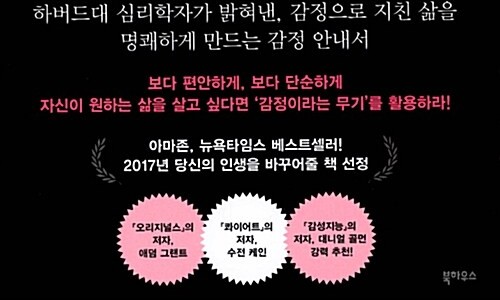데이비드컴퍼니 이미지