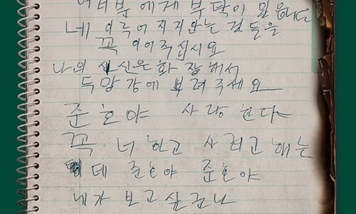 비마이너 이미지