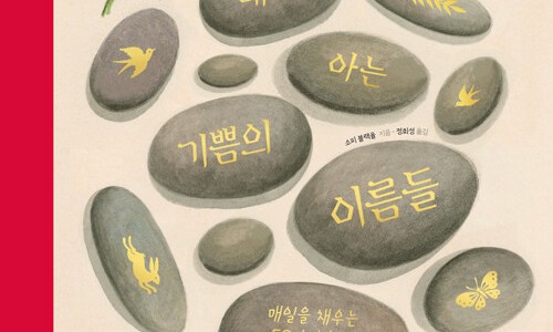 지오소피 이미지