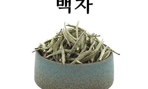 백차 이미지