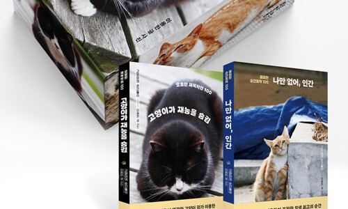 내일또와 이미지