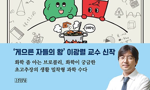 보수왕 이미지