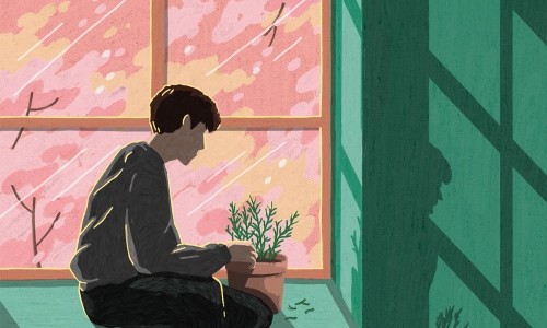 피엘(PL) 이미지