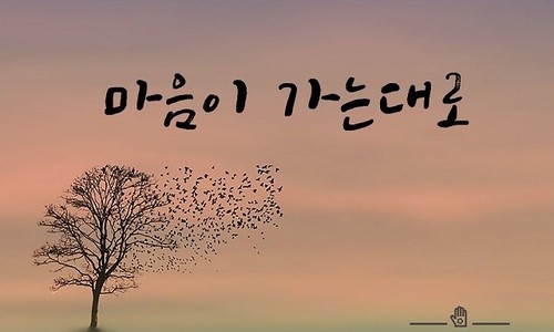 토다기 이미지