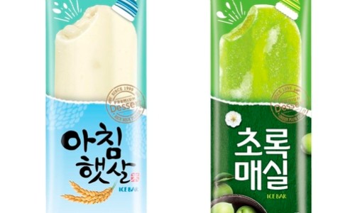 아침햇살 이미지