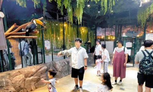 곽건축사사무소 이미지