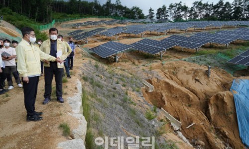 태양산림 이미지