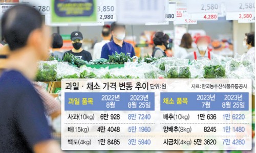 야채;과일3 이미지