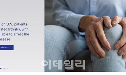 한컴시스템 이미지