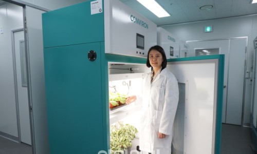 성공개발 이미지