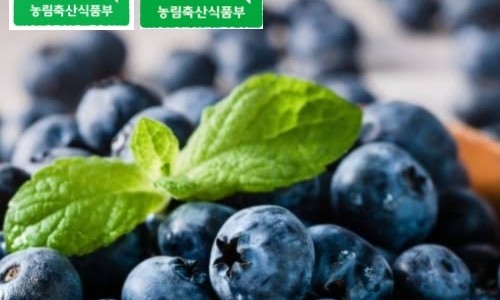 산들블루베리푸드 이미지