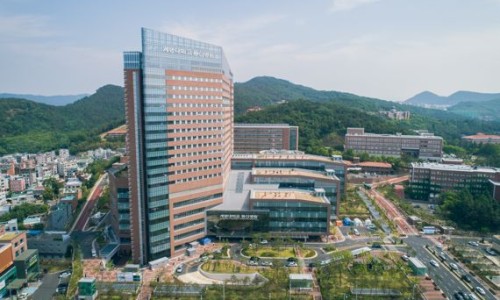 동산디지털 이미지