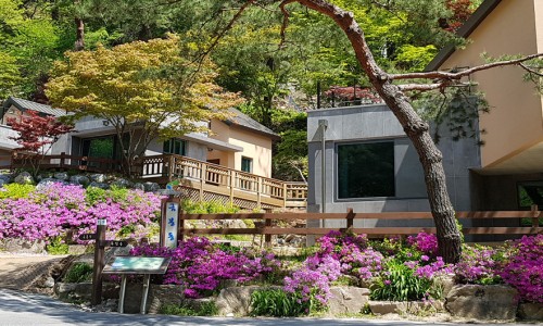 박달재자연휴양림야영장 이미지
