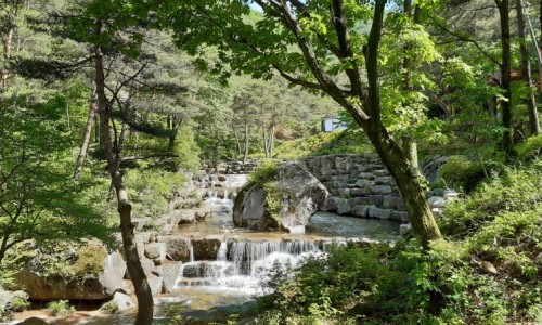 금원산자연휴양림 이미지