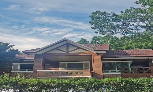 비슬산 숲속 오토캠핑장 이미지