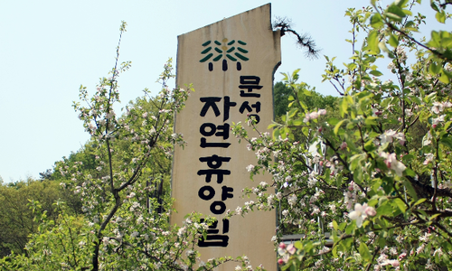 문성 자연휴양림 이미지