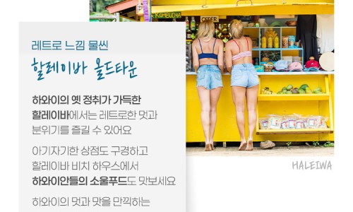 하나원투어 이미지