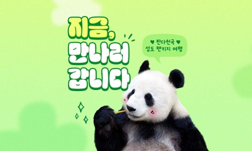 쏭투어 이미지