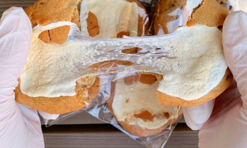 순수당 이미지