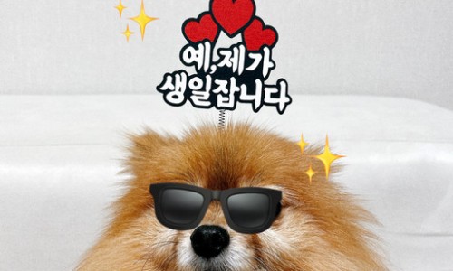 생일이개 이미지