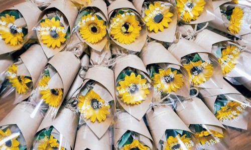 Flower늘봄 이미지