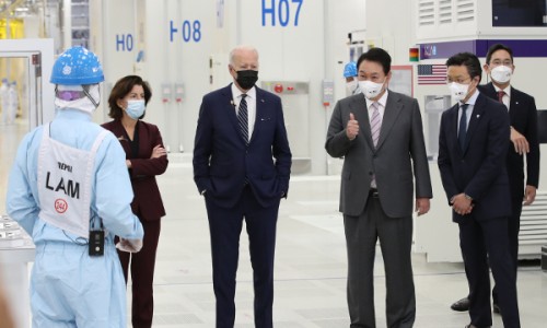 타피루즈 이미지