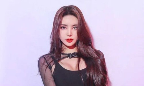 법무법인동서남북 이미지