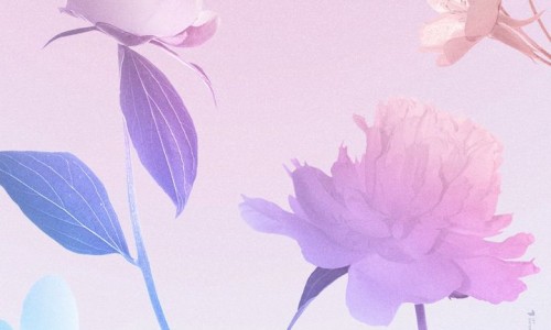 우리스토어 이미지