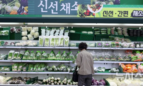 글로벌회원권거래소 이미지