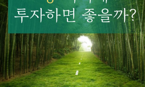 114개발 이미지