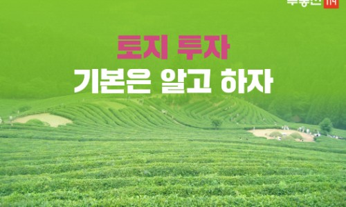 114개발 이미지
