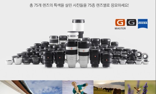 알파영등포 이미지