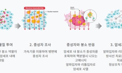 다원미디어 이미지