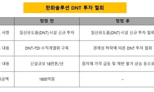 디앤티솔루션 이미지